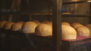 Fırındaki endüstriyel bir fırında hamur pişirmek için el arabasında hamuru pişirmeye hazır. Yavaş çekim