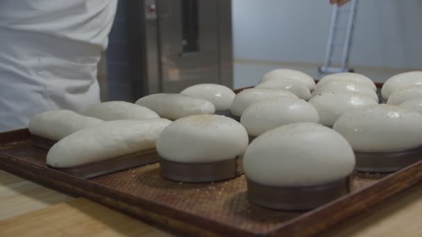 Close Raw Ready Bake Buns Sprinkled White Sesame Seeds Slow — Stock Video