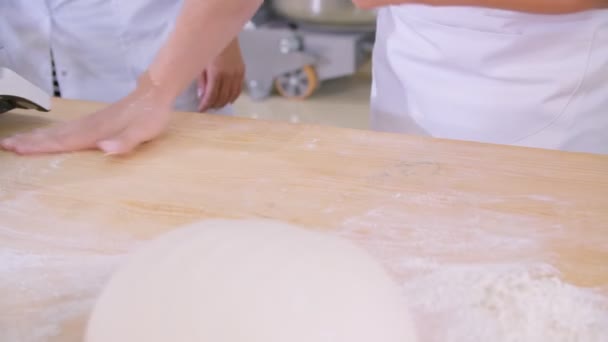 Close Dough Kneaded Baker Wooden Board Sprinkled Flour Slow Motion — Video