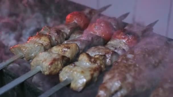 Close Lumpy Kebab Tomato Ground Kebab Grilled Grill Lot Smoke — 비디오