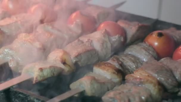 Close Lumpy Kebab Tomato Ground Kebab Grilled Grill Lot Smoke — Wideo stockowe