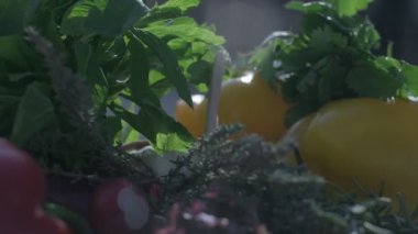 Fresh veggies and greens including red, green and yellow bell peppers, radish and juniper on the wooden cooking board. Camera starts filming very close in the bunch of veggies and then zooms out