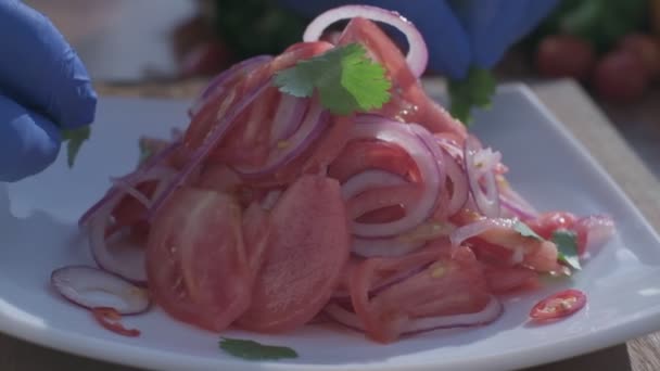 Close Fresh Salad Made Tomatoes Red Onions Being Decorated Parsley — Wideo stockowe