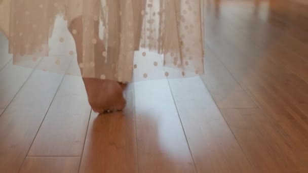 Young Woman Walks Barefoot Parquet Sunny Room Slow Motion — Stock videók