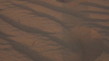 A young woman in a white dress barefoot is walking along the desert sand. Slow motion.