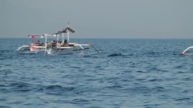 Dolphins swimming and jumping in a clear blue sea. Some white boats on the background. Slow motion