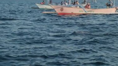 Dolphins swimming and jumping in a clear blue sea. Some white boats on the background. Slow motion