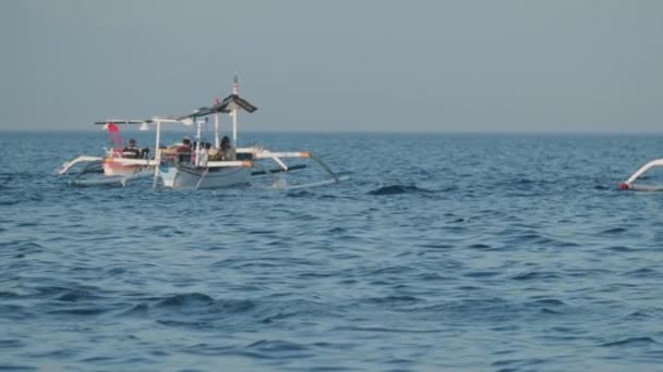 Dolphins Swimming Jumping Clear Blue Sea Some White Boats Background — Stockvideo