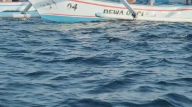 Dolphins swimming and jumping in a clear blue sea. Some white boats on the background. Slow motion