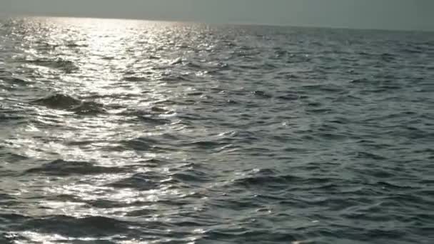 Dolphins Swimming Jumping Clear Blue Sea Some White Boats Background — Stock video