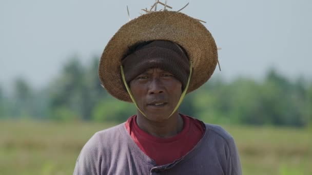 Улыбающийся Азиат Конической Шляпе Собирающий Рис Серпом Медленное Движение — стоковое видео