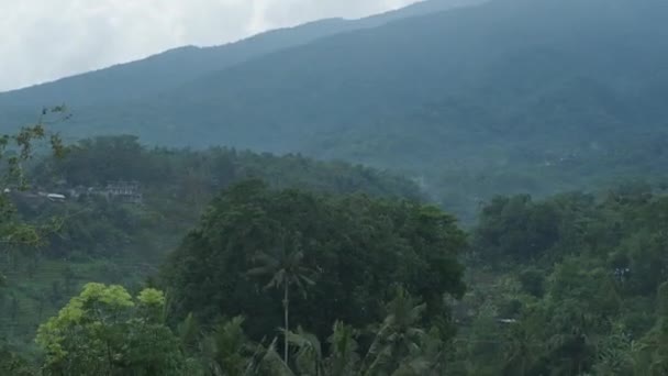 Camera Flying Garden Asian Tropics Front Green Mountain Early Evening — Vídeo de Stock