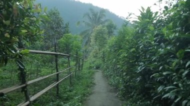 Walk through garden in asian tropics in front of green mountain