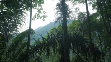 Walk through garden in asian tropics in front of green mountain