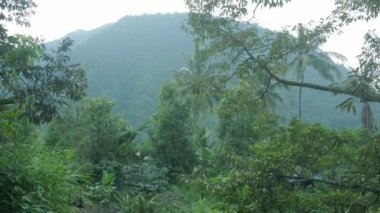 Walk through garden in asian tropics in front of green mountain