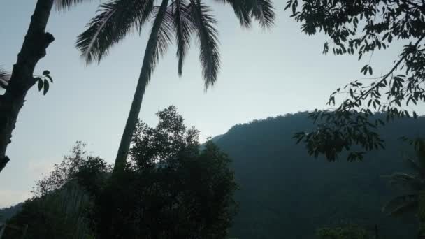 Walk Garden Asian Tropics Front Green Mountain — Vídeo de Stock