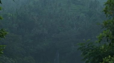 Asian terraces, tropical wood and high waterfall on a misty day. Slow motion.