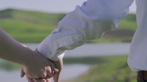 Zakochani Nowożeńcy Trzymają Się Ręce Tle Łąki Zwolnij Zamknięciem — Wideo stockowe