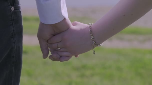 Newlyweds Love Hold Hands Background Meadow Slow Motion Close — Stock Video