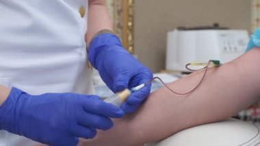 Blood sample is taken from vein by nurse wearing blue gloves