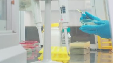 Work on samples of substances is carried out in the laboratory, slow motion