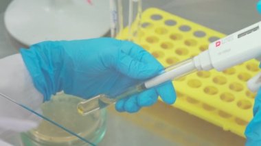 Work on samples of substances is carried out in the laboratory, slow motion