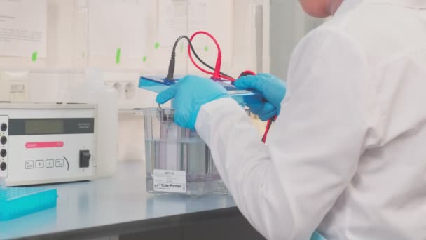 Work Samples Substances Carried Out Laboratory Slow Motion — Video