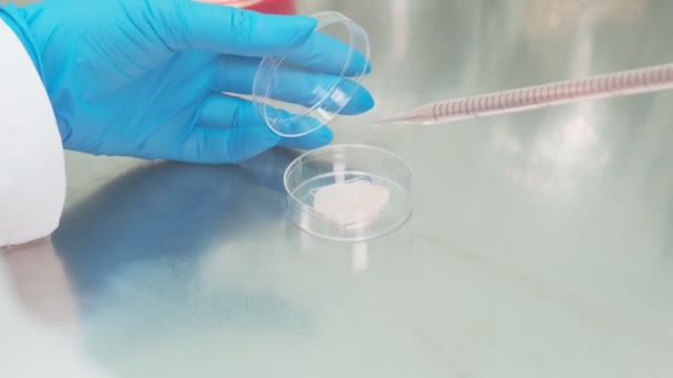 Work Samples Substances Carried Out Laboratory Slow Motion — Stock Video