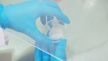 Covid vaccine samples in the round containers, slow motion