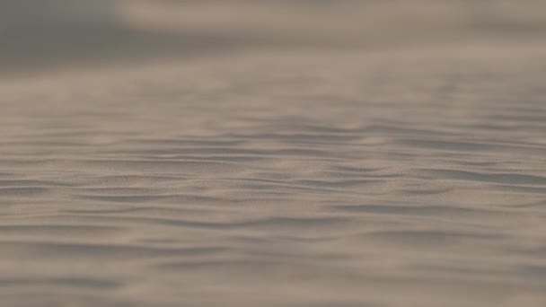 Sand Dunes Desert Dubai Wind Slow Motion — Stock videók