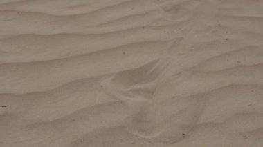 A brunette barefoot in a white dress fluttering in the wind walks along the desert sand. Slow motion.