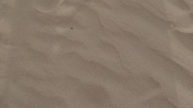 A brunette barefoot in a white dress fluttering in the wind walks along the desert sand. Slow motion.