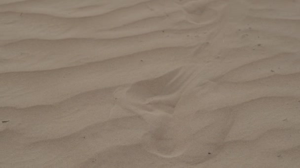 Brunette Barefoot White Dress Fluttering Wind Walks Desert Sand Slow — Vídeo de stock