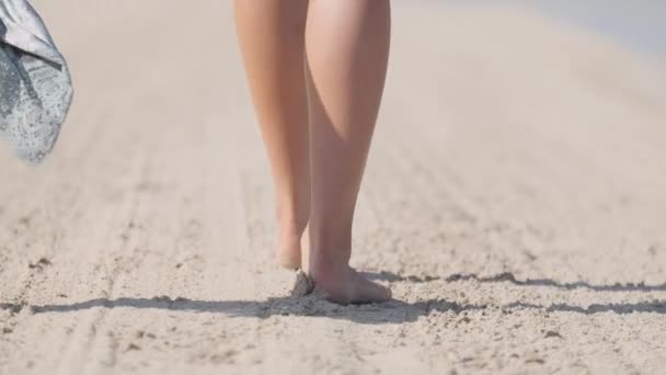 Young Brunette Woman Bikini Slowly Walking Shore Slow Motion — Video Stock