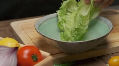 Profesyonel şef lahana yapraklarını hazırlar ve yıkar. Yavaş çekim