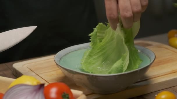 Professional Chef Prepares Washes Cabbage Leaves Slow Motion — Stock Video