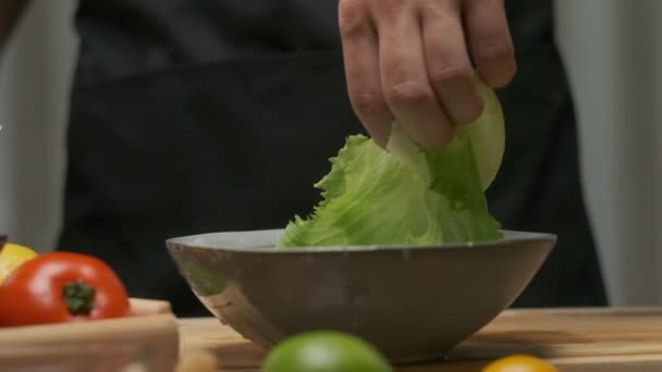 Chef Professionista Prepara Lava Foglie Cavolo Rallentatore — Video Stock