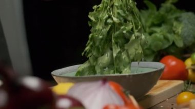 Profesyonel şef kişniş yapraklarını yıkar ve hazırlar. Ağır çekimde kapat.