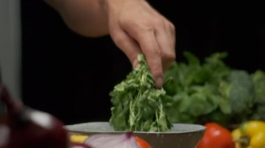 Profesyonel şef kişniş yapraklarını yıkar ve hazırlar. Ağır çekimde kapat.