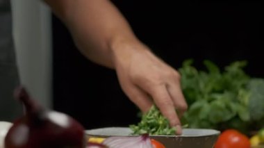 Profesyonel şef kişniş yapraklarını yıkar ve hazırlar. Ağır çekimde kapat.