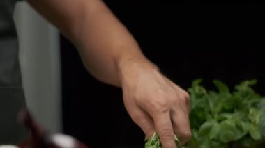 Profesyonel şef kişniş yapraklarını yıkar ve hazırlar. Ağır çekimde kapat.
