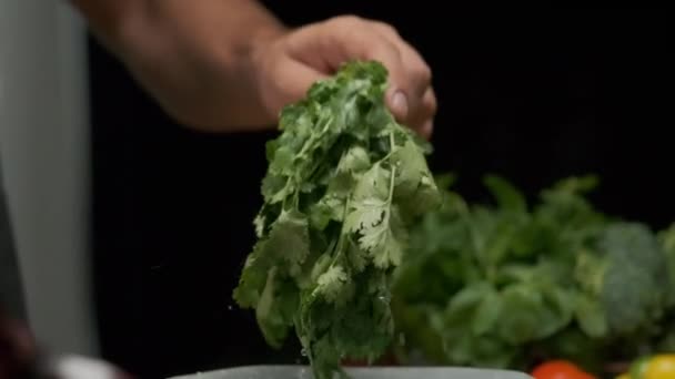 Bucătarul Profesionist Spală Pregătește Frunze Cilantro Închide Mișcarea Lentă — Videoclip de stoc
