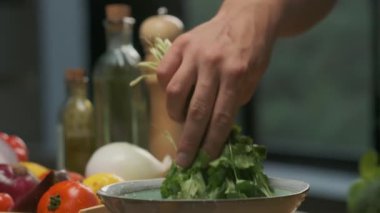 Profesyonel şef kişniş yapraklarını yıkar ve hazırlar. Ağır çekimde kapat.