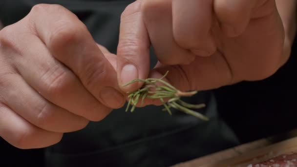 Professional Chef Applies Greens Meat Steak Slow Motion Close — Videoclip de stoc