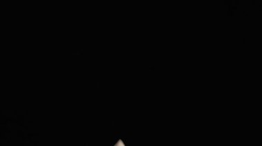 Flying up coconut chips on the black background. Slow motion