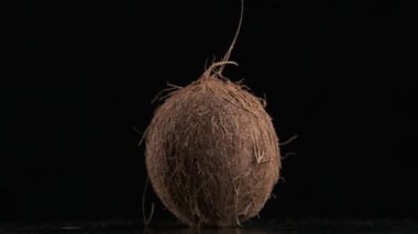 Coconut spinning on a black background, slow motion