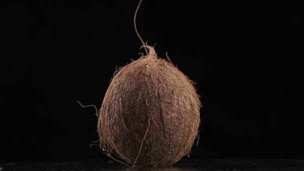 Coconut Spinning Black Background Slow Motion — Vídeo de Stock
