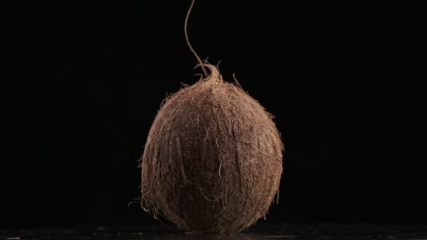 Coconut Spinning Black Background Slow Motion — 图库视频影像