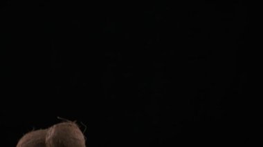 Flying up coconuts on the black background, slow motion