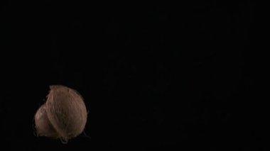 Flying up coconuts on the black background, slow motion